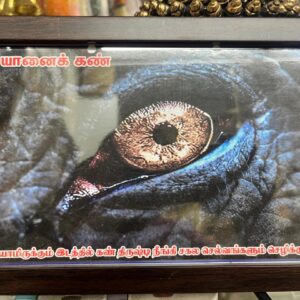 Evil Eye Protector - Elephant Eye Wall Hanging Photo Frame 9.5 X 7 Inches