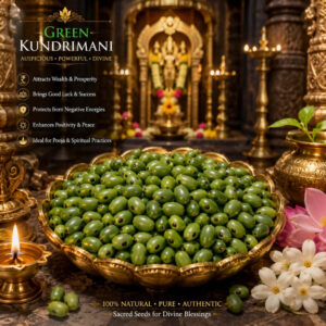 Premium Green Kundrimani Seeds - 1pcs  Natural Sacred Seeds for Pooja, Spiritual Rituals.