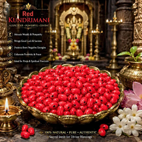 Premium Red Kundrimani Seeds - 1pcs Natural Sacred Seeds for Pooja, Spiritual Rituals.