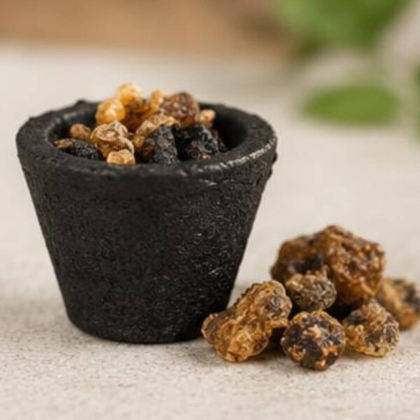 Big Bell Kasturi Cup Sambrani-12cups Premium Dhoop Cups for Pooja & Home Fragrance